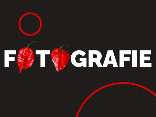 Fotografie z pestovania chilli