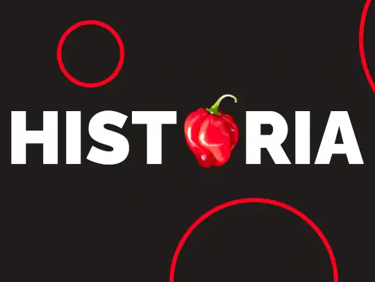 História Chillis od roku 1995