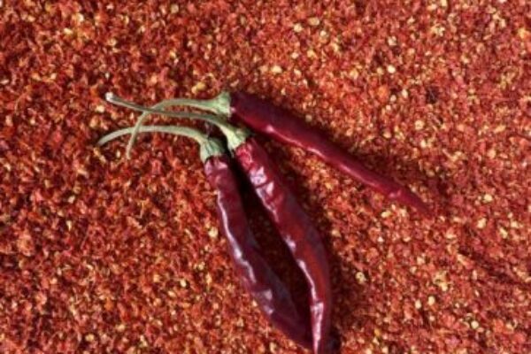 Čo s úrodou: ako uskladniť chilli papričky, nech vydržia celý rok