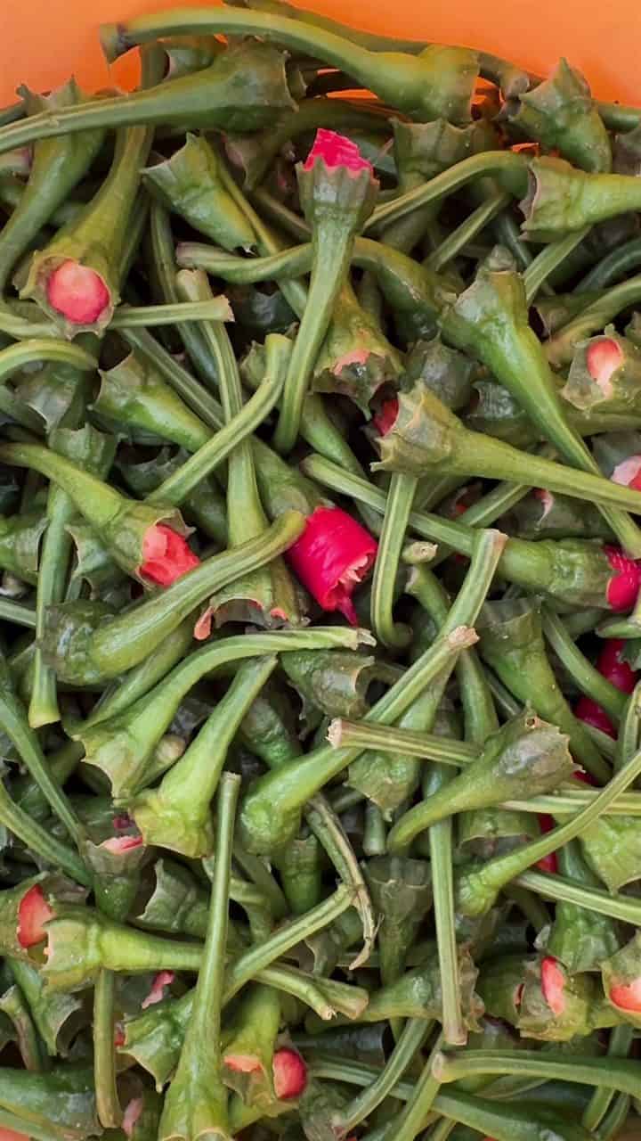Ručne odstopkované chilli papričky pripravené na lisovanie