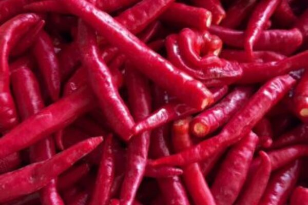 Od papričky po fľaštičku – ako vzniká tekuté chilli u nás