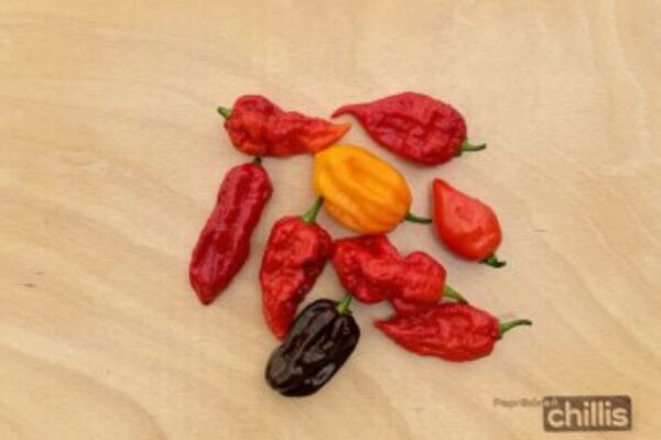 Aké chilli si vybrať: jalapeño, habanero alebo Carolina Reaper?
