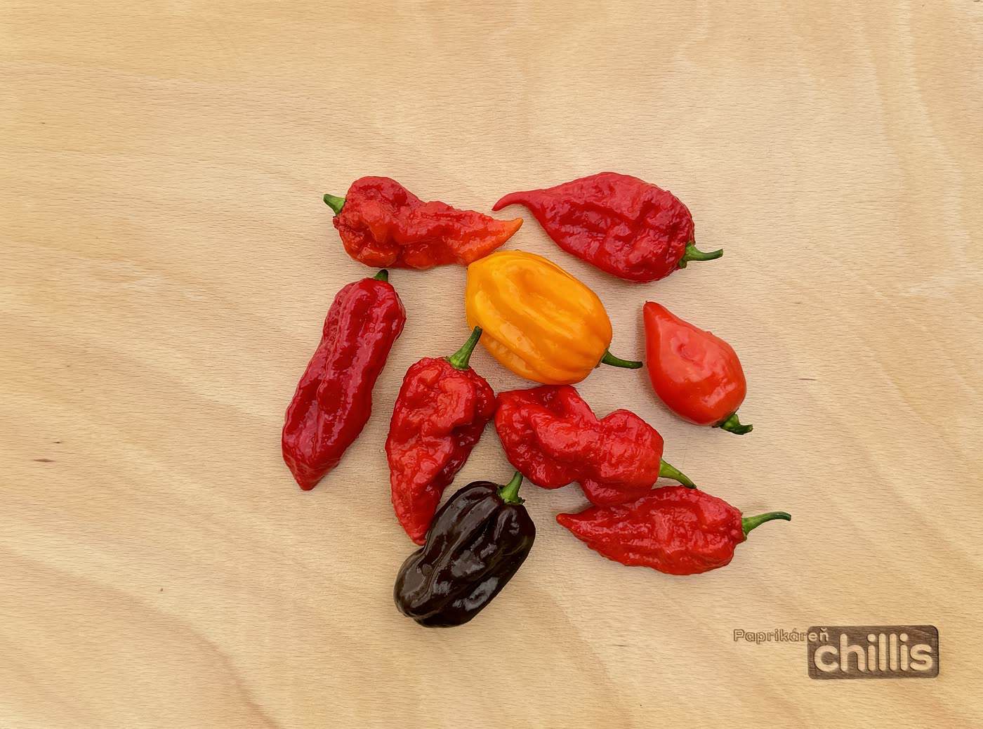 Rôzne odrody chilli papričiek – porovnanie pálivosti a chuti